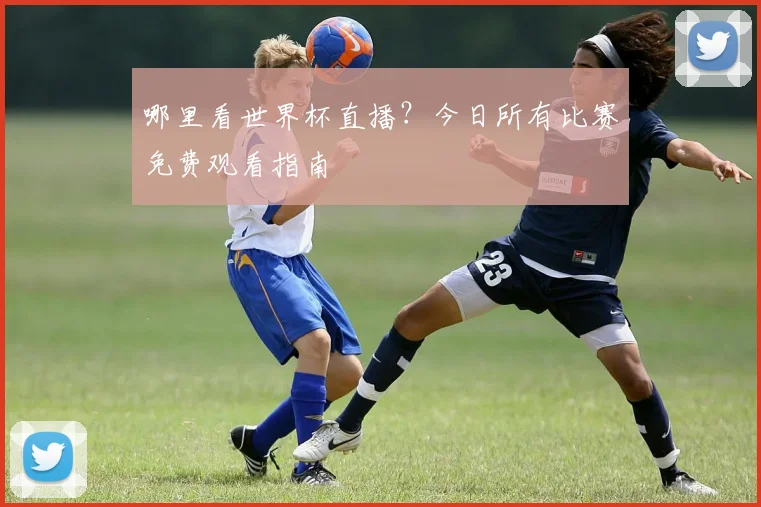哪里看世界杯直播？今日所有比赛免费观看指南